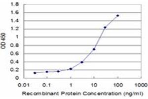Detection limit for recombinant GST tagged CREBL1 is approximately 1ng/ml as a capture antibody.