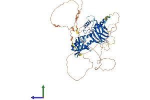 Protein Structure (PS) image for Grainyhead-Like 1 (GRHL1) (AA 1-618) protein (His tag) (ABIN7554044)