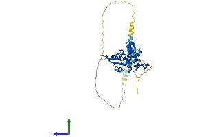 Protein Structure (PS) image for Melanoma Antigen Family B, 4 (MAGEB4) (AA 1-346) protein (His tag) (ABIN7549176)