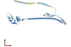 Protein Structure (PS) image for Tripartite Motif Containing 59 (TRIM59) (AA 1-403) protein (His tag) (ABIN7544803)