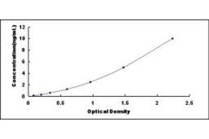 Typical standard curve (GADD45A ELISA 试剂盒)