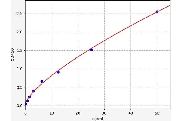 HSF1 ELISA 试剂盒