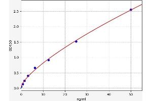 Typical standard curve (HSF1 ELISA 试剂盒)