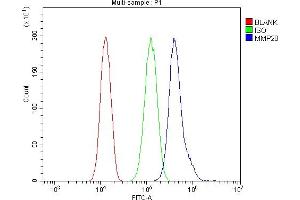 Flow Cytometry analysis of A549 cells using anti-MMP28 antibody (ABIN7599865).
