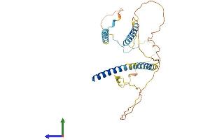 Protein Structure (PS) image for Mitochondrial Fission Factor (MFF) (AA 1-291) protein (His tag) (ABIN7558036)