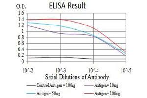 Black line: Control Antigen (100 ng),Purple line: Antigen (10 ng), Blue line: Antigen (50 ng), Red line:Antigen (100 ng) (Axin 抗体  (AA 546-752))