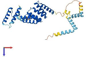 SGTB Protein (AA 1-304) (His tag)