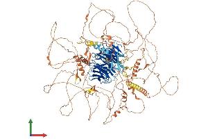 AlphaFold protein structure predicition of Human Recombinant AMBRA1 Protein, UniprotID Q9C0C7
