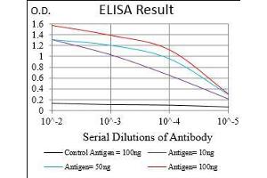 Black line: Control Antigen (100 ng), Purple line: Antigen(10 ng), Blue line: Antigen (50 ng), Red line: Antigen (100 ng), (CD45 抗体  (AA 928-989))