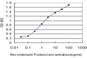 Detection limit for recombinant GST tagged PTF1A is approximately 0. (PTF1A 抗体  (AA 250-328))