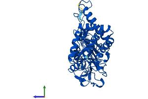 Protein Structure (PS) image for phosphoserine Aminotransferase 1 (PSAT1) (AA 1-370) protein (His tag) (ABIN7560335)