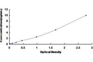 Typical standard curve (NTSR2 ELISA 试剂盒)