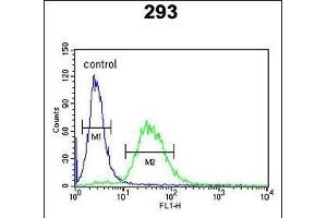 F10 Antibody (C-term) (ABIN390688 and ABIN2840978) flow cytometric analysis of 293 cells (right histogram) compared to a negative control cell (left histogram). (Coagulation Factor X 抗体  (C-Term))