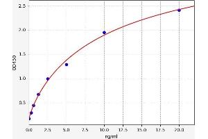 Typical standard curve (FBP2 ELISA 试剂盒)