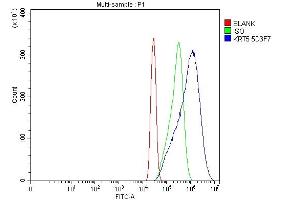 Flow Cytometry analysis of A431 cells using anti-Cytokeratin 5 antibody (ABIN7602992). (Cytokeratin 5 抗体  (Middle Region))