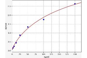 Amiloride Binding Protein 1 (Amine Oxidase (Copper-Containing)) (ABP1) ELISA Kit