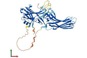 Protein Structure (PS) image for Arrestin, beta 2 (ARRB2) (AA 1-409) protein (His tag) (ABIN7552424)