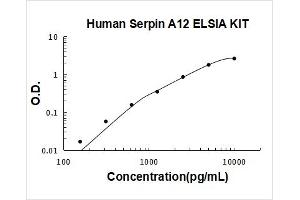 Typical Standard Curve
