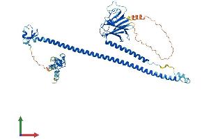 Protein Structure (PS) image for Tripartite Motif Containing 26 (TRIM26) (AA 1-539) protein (His tag) (ABIN7544587)
