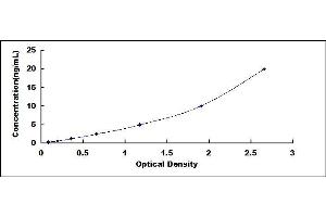 Typical standard curve (Involucrin ELISA 试剂盒)
