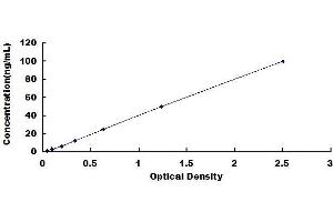 Typical standard curve (MUC2 ELISA 试剂盒)