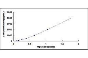 Growth Differentiation Factor 3 (GDF3) ELISA Kit