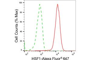 Flow cytometric analysis of HSF1 expression in HepG2 cells using HSF1 antibody (ABIN7798862), 1:2,000). (Recombinant HSF1 抗体)