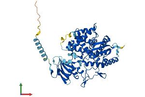 AlphaFold protein structure predicition of Mouse Recombinant Cyp7b1 Protein, UniprotID Q60991