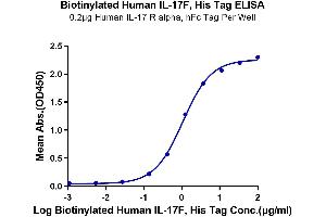 Interleukin 17F (IL17F) (AA 31-163) protein (His-Avi Tag,Biotin)