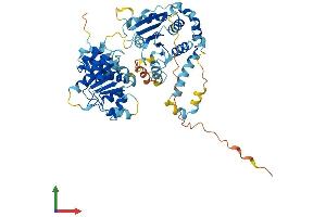 Protein Structure (PS) image for DEAD (Asp-Glu-Ala-Asp) Box Polypeptide 56 (DDX56) (AA 1-546) protein (His tag) (ABIN7560850)