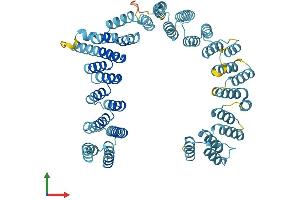 Protein Structure (PS) image for UTP6, Small Subunit (SSU) Processome Component, Homolog (UTP6) (AA 1-597) protein (His tag) (ABIN7544997)