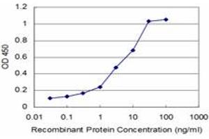 Detection limit for recombinant GST tagged PTF1A is approximately 0. (PTF1A 抗体  (AA 250-328))