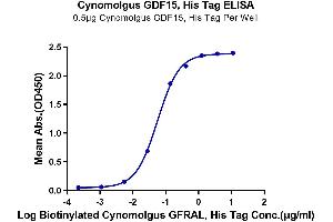 ELISA image for Growth Differentiation Factor 15 (GDF15) (AA 193-308) protein (His tag) (ABIN7274718)