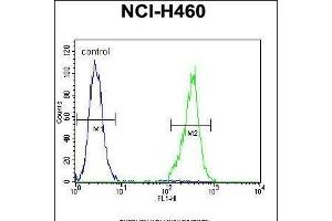 TRIM65 Antibody (Center) (ABIN655759 and ABIN2845202) flow cytometric analysis of NCI- cells (right histogram) compared to a negative control cell (left histogram). (TRIM65 抗体  (AA 327-355))