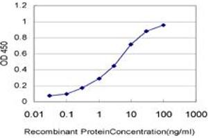 Detection limit for recombinant GST tagged ARAF is approximately 0. (ARAF 抗体  (AA 151-250))