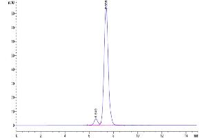 Size-exclusion chromatography-High Pressure Liquid Chromatography (SEC-HPLC) image for Tumor Necrosis Factor (Ligand) Superfamily, Member 18 (TNFSF18) (AA 50-177), (Trimer) protein (His-DYKDDDDK Tag) (ABIN7274681)