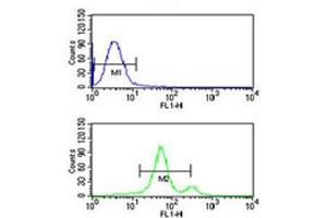 ASIC1 antibody flow cytometric analysis of CEM cells (bottom histogram) compared to a negative control (top histogram). (ASIC1 抗体  (AA 500-526))
