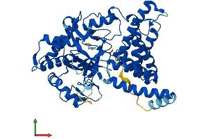 AlphaFold protein structure predicition of Human Recombinant SMYD1 Protein, UniprotID Q8NB12