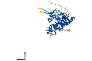 Protein Structure (PS) image for Testis Derived Transcript (3 LIM Domains) (TES) (AA 1-421) protein (His tag) (ABIN7544276)