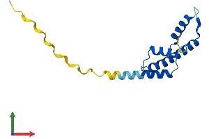 Protein Structure (PS) image for Centromere Protein A (CENPA) (AA 1-134) protein (His tag) (ABIN7562283)