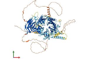 AlphaFold protein structure predicition of Mouse Recombinant C2cd5 Protein, UniprotID Q7TPS5 (C2CD5/KIAA0528 Protein (AA 1-1016) (His tag))