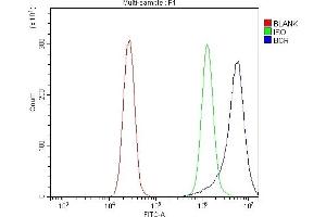 Flow Cytometry analysis of K562 cells using anti-BCR antibody (ABIN7601180).
