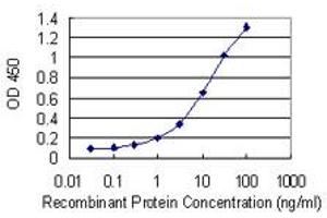 Detection limit for recombinant GST tagged RNF170 is 0. (RNF170 抗体  (AA 121-193))