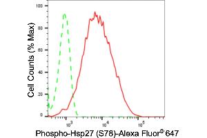 Flow cytometric analysis of phospho-Hsp27 (S78) expression in HepG2 cells using phospho-Hsp27 (S78) antibody (ABIN7798843), 1:2,000). (Recombinant HSP27 抗体  (pSer78))