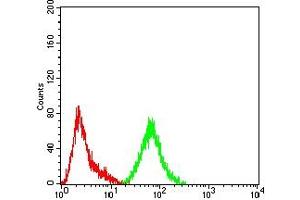 Flow Cytometry (FACS) image for anti-SATB Homeobox 2 (SATB2) (AA 377-499) antibody (ABIN7193354)