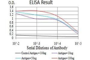 Black line: Control Antigen (100 ng);Purple line: Antigen (10ng); Blue line: Antigen (50 ng); Red line:Antigen (100 ng) (SOD2 抗体  (AA 1-222))