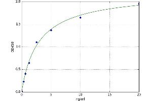 A typical standard curve (HDAC7 ELISA 试剂盒)