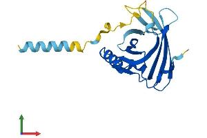 Protein Structure (PS) image for Apolipoprotein M (APOM) (AA 1-190) protein (His tag) (ABIN7556391)