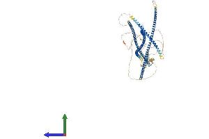 AlphaFold protein structure predicition of Human Recombinant BICD1 Protein, UniprotID Q96G01