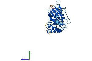 Protein Structure (PS) image for GTP-Binding Protein 8 (GTPBP8) (AA 1-285) protein (His tag) (ABIN7560742)
